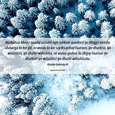 Picture 06 - Laawiyiintii 8:30 SOM - Markaasaa Muuse qaaday saliiddii lagu subkado - Bible Verse Picture