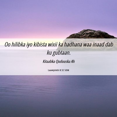 Picture 06 - Laawiyiintii 8:32 SOM - Oo hilibka iyo kibista wixii ka hadhana waa inaad - Bible Verse Picture