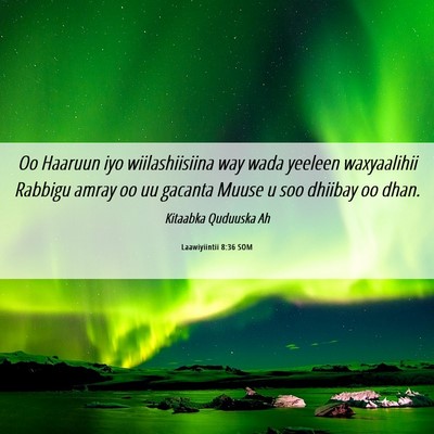 Picture 06 - Laawiyiintii 8:36 SOM - Oo Haaruun iyo wiilashiisiina way wada yeeleen - Bible Verse Picture