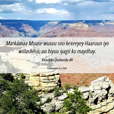 Picture 06 - Laawiyiintii 8:6 SOM - Markaasaa Muuse wuxuu soo kexeeyey Haaruun iyo - Bible Verse Picture