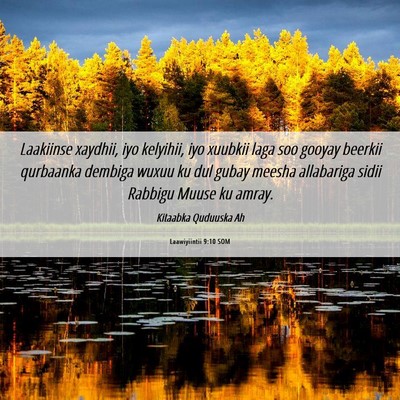Picture 06 - Laawiyiintii 9:10 SOM - Laakiinse xaydhii, iyo kelyihii, iyo xuubkii laga - Bible Verse Picture