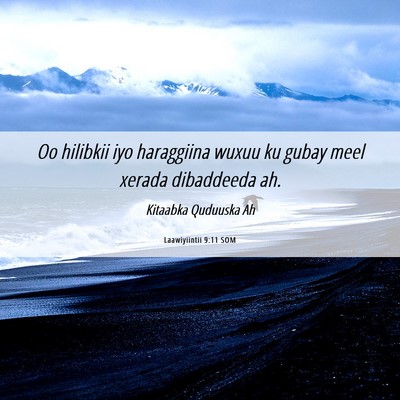 Picture 06 - Laawiyiintii 9:11 SOM - Oo hilibkii iyo haraggiina wuxuu ku gubay meel - Bible Verse Picture