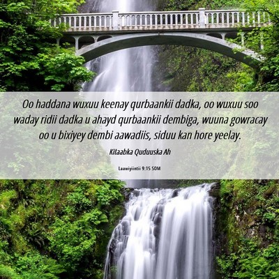 Picture 06 - Laawiyiintii 9:15 SOM - Oo haddana wuxuu keenay qurbaankii dadka, oo - Bible Verse Picture