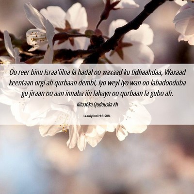 Picture 06 - Laawiyiintii 9:3 SOM - Oo reer binu Israa'iilna la hadal oo waxaad ku - Bible Verse Picture