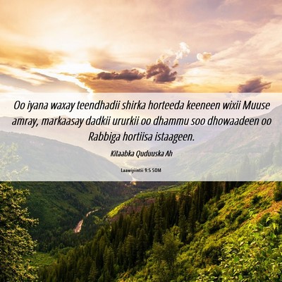 Picture 06 - Laawiyiintii 9:5 SOM - Oo iyana waxay teendhadii shirka horteeda keeneen - Bible Verse Picture