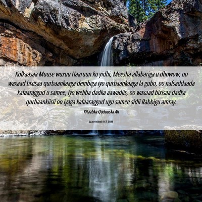 Picture 06 - Laawiyiintii 9:7 SOM - Kolkaasaa Muuse wuxuu Haaruun ku yidhi, Meesha - Bible Verse Picture
