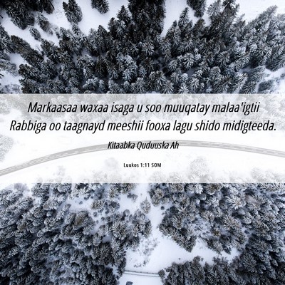 Picture 06 - Luukos 1:11 SOM - Markaasaa waxaa isaga u soo muuqatay malaa'igtii - Bible Verse Picture