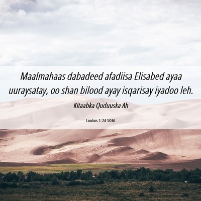 Picture 06 - Luukos 1:24 SOM - Maalmahaas dabadeed afadiisa Elisabed ayaa - Bible Verse Picture