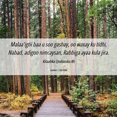 Picture 06 - Luukos 1:28 SOM - Malaa'igtii baa u soo gashay, oo waxay ku tidhi, - Bible Verse Picture