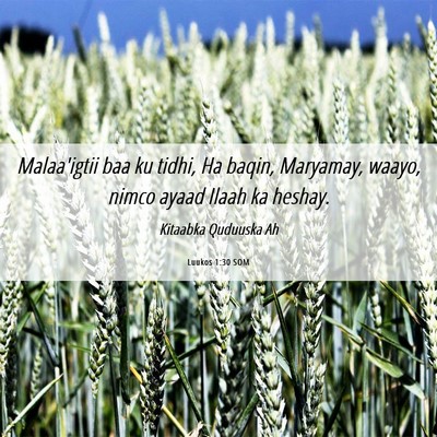 Picture 06 - Luukos 1:30 SOM - Malaa'igtii baa ku tidhi, Ha baqin, Maryamay, - Bible Verse Picture