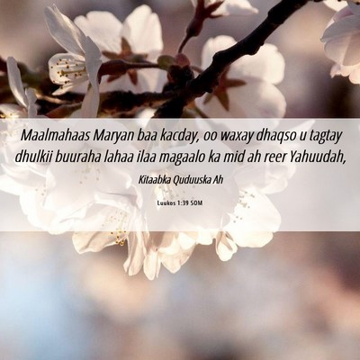 Picture 06 - Luukos 1:39 SOM - Maalmahaas Maryan baa kacday, oo waxay dhaqso u - Bible Verse Picture