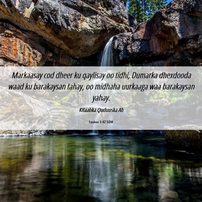 Picture 06 - Luukos 1:42 SOM - Markaasay cod dheer ku qaylisay oo tidhi, Dumarka - Bible Verse Picture