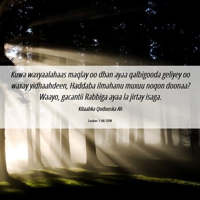 Picture 06 - Luukos 1:66 SOM - Kuwa waxyaalahaas maqlay oo dhan ayaa qalbigooda - Bible Verse Picture