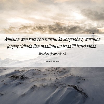 Picture 06 - Luukos 1:80 SOM - Wiilkuna waa koray oo ruuxuu ka xoogoobay, - Bible Verse Picture