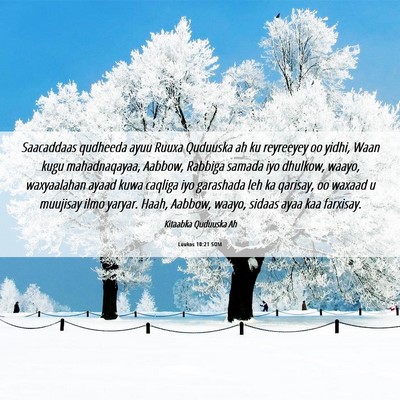 Picture 06 - Luukos 10:21 SOM - Saacaddaas qudheeda ayuu Ruuxa Quduuska ah ku - Bible Verse Picture