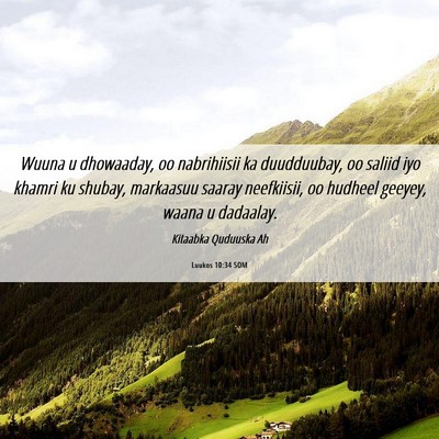 Picture 06 - Luukos 10:34 SOM - Wuuna u dhowaaday, oo nabrihiisii ka duudduubay, - Bible Verse Picture