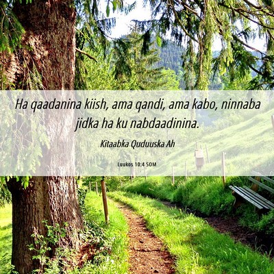 Picture 06 - Luukos 10:4 SOM - Ha qaadanina kiish, ama qandi, ama kabo, ninnaba - Bible Verse Picture