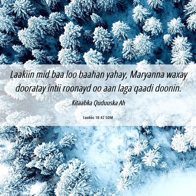 Picture 06 - Luukos 10:42 SOM - Laakiin mid baa loo baahan yahay, Maryanna waxay - Bible Verse Picture
