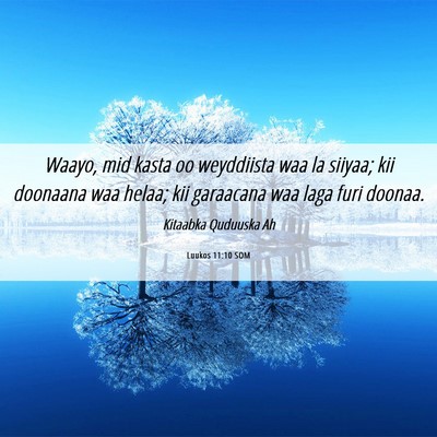 Picture 06 - Luukos 11:10 SOM - Waayo, mid kasta oo weyddiista waa la siiyaa; kii - Bible Verse Picture
