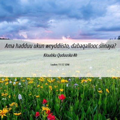 Picture 06 - Luukos 11:12 SOM - Ama hadduu ukun weyddiisto, dabaqallooc - Bible Verse Picture