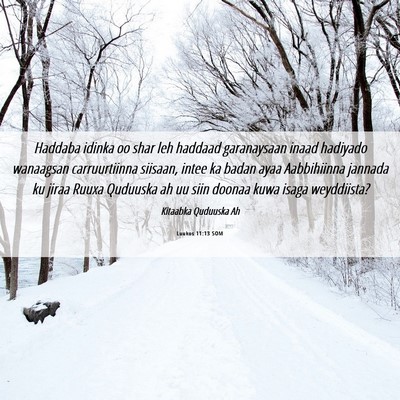 Picture 06 - Luukos 11:13 SOM - Haddaba idinka oo shar leh haddaad garanaysaan - Bible Verse Picture