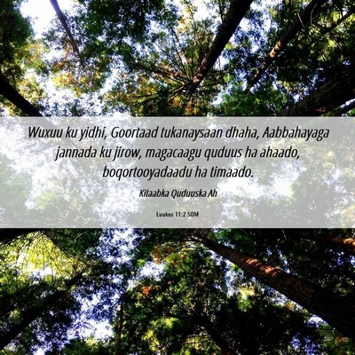 Picture 06 - Luukos 11:2 SOM - Wuxuu ku yidhi, Goortaad tukanaysaan dhaha, - Bible Verse Picture