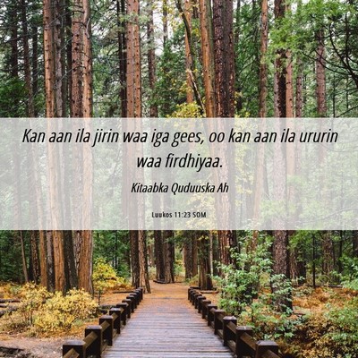 Picture 06 - Luukos 11:23 SOM - Kan aan ila jirin waa iga gees, oo kan aan ila - Bible Verse Picture