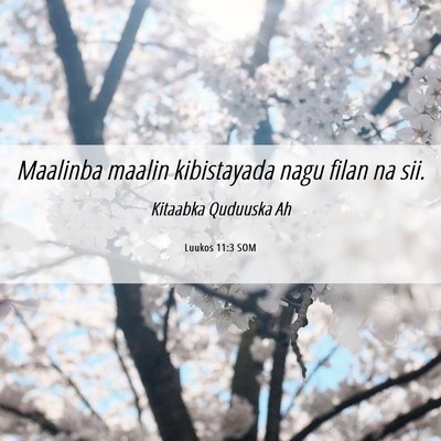 Picture 06 - Luukos 11:3 SOM - Maalinba maalin kibistayada nagu filan na - Bible Verse Picture
