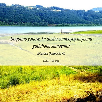 Picture 06 - Luukos 11:40 SOM - Doqonno yahow, kii dusha sameeyey miyaanu - Bible Verse Picture