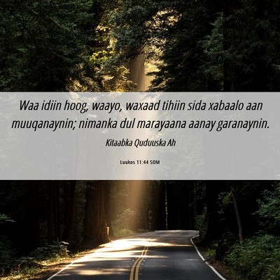 Picture 06 - Luukos 11:44 SOM - Waa idiin hoog, waayo, waxaad tihiin sida xabaalo - Bible Verse Picture