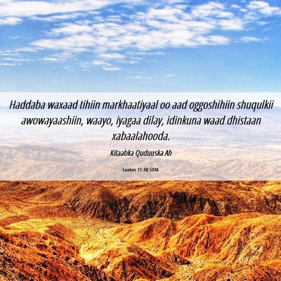 Picture 06 - Luukos 11:48 SOM - Haddaba waxaad tihiin markhaatiyaal oo aad - Bible Verse Picture