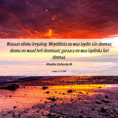 Picture 06 - Luukos 11:9 SOM - Waxaan idinku leeyahay, Weyddiista oo waa laydin - Bible Verse Picture