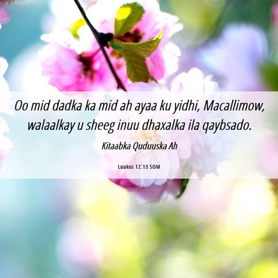 Picture 06 - Luukos 12:13 SOM - Oo mid dadka ka mid ah ayaa ku yidhi, Macallimow, - Bible Verse Picture