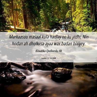 Picture 06 - Luukos 12:16 SOM - Markaasuu masaal kula hadlay oo ku yidhi, Nin - Bible Verse Picture
