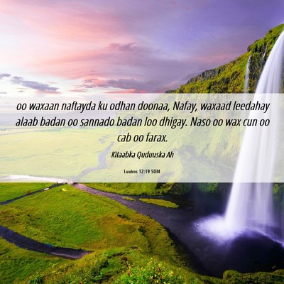 Picture 06 - Luukos 12:19 SOM - oo waxaan naftayda ku odhan doonaa, Nafay, waxaad - Bible Verse Picture