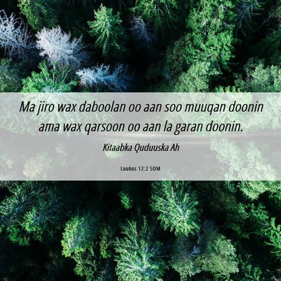 Picture 06 - Luukos 12:2 SOM - Ma jiro wax daboolan oo aan soo muuqan doonin ama - Bible Verse Picture
