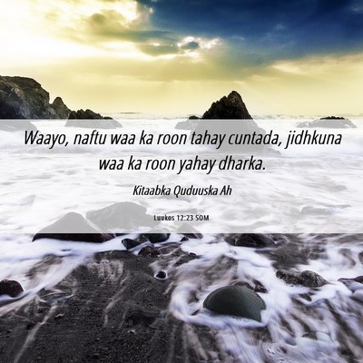 Picture 06 - Luukos 12:23 SOM - Waayo, naftu waa ka roon tahay cuntada, jidhkuna - Bible Verse Picture