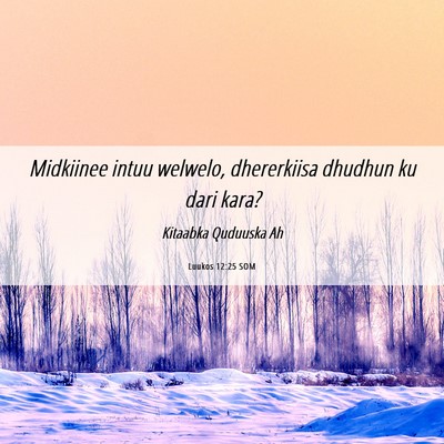 Picture 06 - Luukos 12:25 SOM - Midkiinee intuu welwelo, dhererkiisa dhudhun ku - Bible Verse Picture