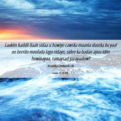 Picture 06 - Luukos 12:28 SOM - Laakiin haddii Ilaah sidaa u huwiyo cawska maanta - Bible Verse Picture