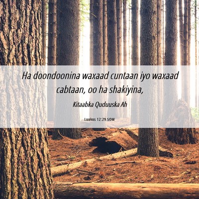 Picture 06 - Luukos 12:29 SOM - Ha doondoonina waxaad cuntaan iyo waxaad cabtaan, - Bible Verse Picture