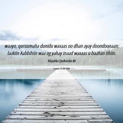 Picture 06 - Luukos 12:30 SOM - waayo, quruumaha dunidu waxaas oo dhan ayay - Bible Verse Picture