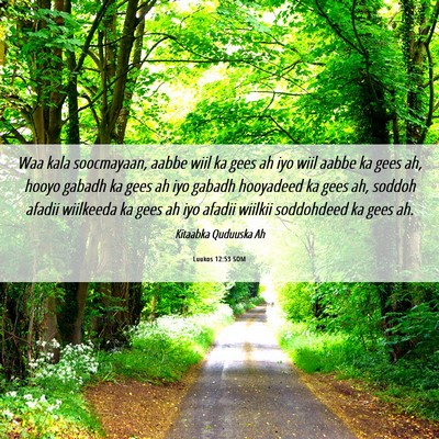 Picture 06 - Luukos 12:53 SOM - Waa kala soocmayaan, aabbe wiil ka gees ah iyo - Bible Verse Picture