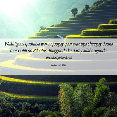 Picture 06 - Luukos 13:1 SOM - Wakhtigaas qudhiisa waxaa joogay qaar wax uga - Bible Verse Picture