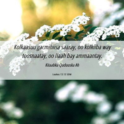 Picture 06 - Luukos 13:13 SOM - Kolkaasuu gacmihiisa saaray, oo kolkiiba way - Bible Verse Picture