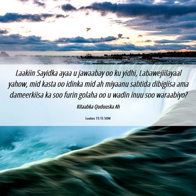 Picture 06 - Luukos 13:15 SOM - Laakiin Sayidka ayaa u jawaabay oo ku yidhi, - Bible Verse Picture