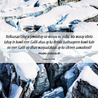 Picture 06 - Luukos 13:2 SOM - Kolkaasaa Ciise u jawaabay oo wuxuu ku yidhi, Ma - Bible Verse Picture