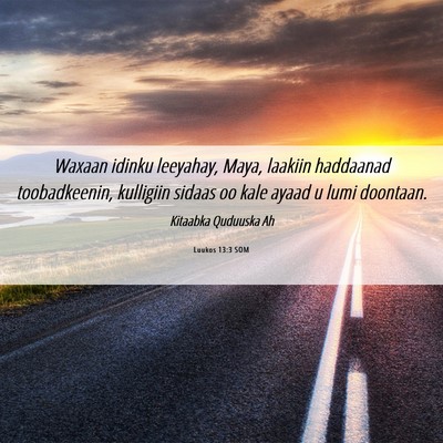 Picture 06 - Luukos 13:3 SOM - Waxaan idinku leeyahay, Maya, laakiin haddaanad - Bible Verse Picture
