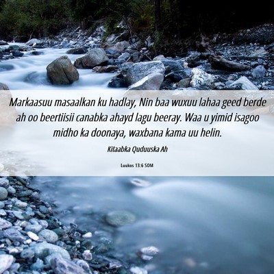 Picture 06 - Luukos 13:6 SOM - Markaasuu masaalkan ku hadlay, Nin baa wuxuu - Bible Verse Picture