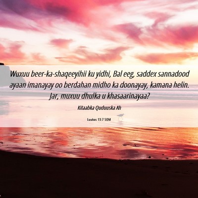 Picture 06 - Luukos 13:7 SOM - Wuxuu beer-ka-shaqeeyihii ku yidhi, Bal eeg, - Bible Verse Picture
