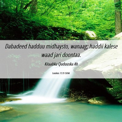 Picture 06 - Luukos 13:9 SOM - Dabadeed hadduu midhaysto, wanaag; haddii kalese - Bible Verse Picture